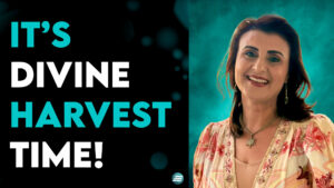 It’s Divine Harvest Time – Yvon Attia